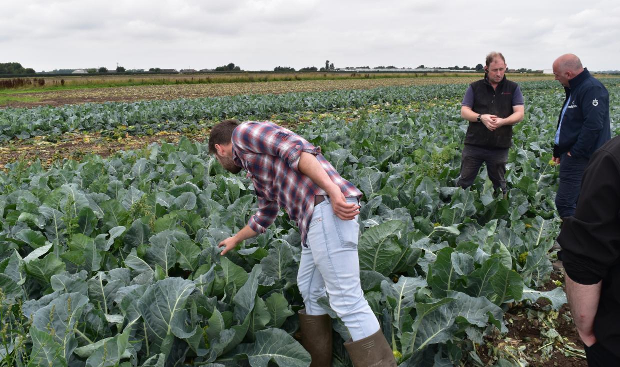 Our environment - food suppliers